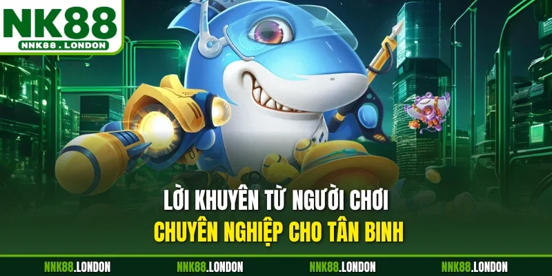 Lời khuyên từ người chơi chuyên nghiệp cho tân binh 