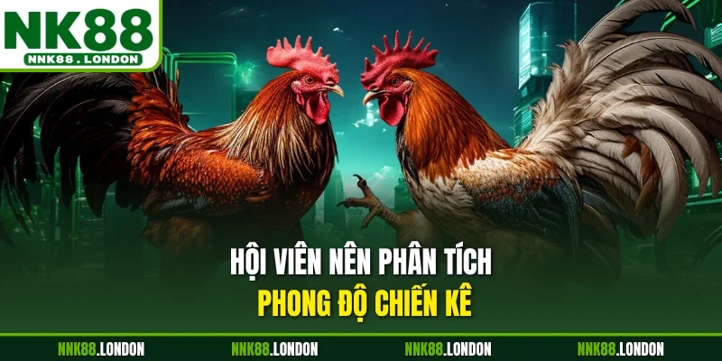 Hội viên nên phân tích phong độ chiến kê