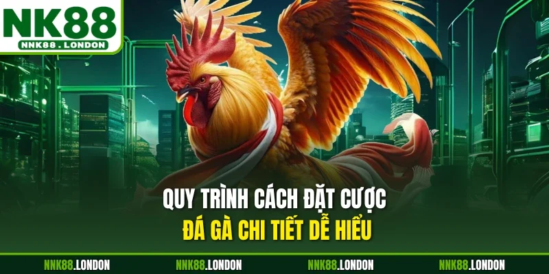 Quy trình cách đặt cược đá gà chi tiết dễ hiểu