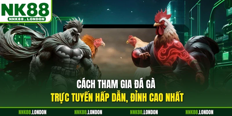 Cách tham gia đá gà trực tuyến