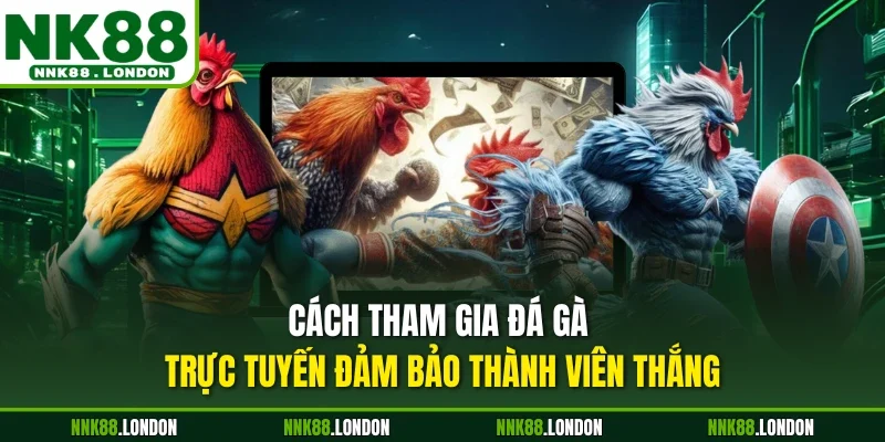 Cách tham gia đá gà trực tuyến đảm bảo thành viên thắng