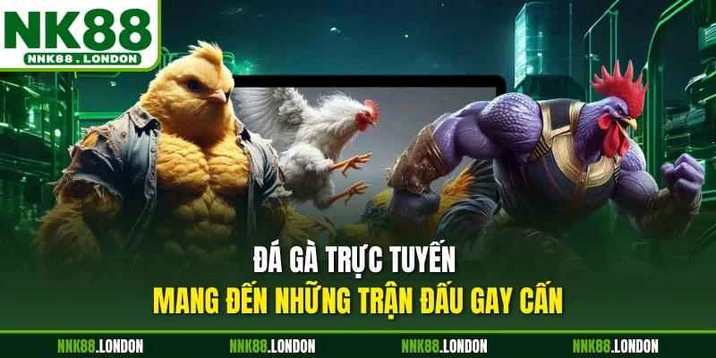 Đá gà trực tuyến mang đến những trận đấu gay cấn