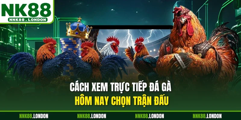Cách xem trực tiếp đá gà hôm nay chọn trận đấu
