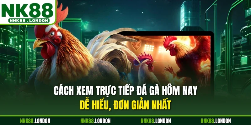 Cách xem trực tiếp đá gà hôm nay