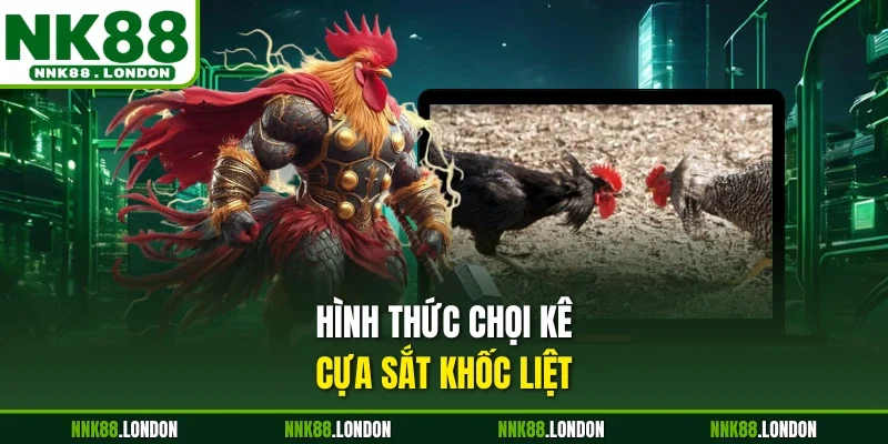Hình thức chọi kê cựa sắt khốc liệt