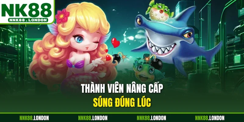 Thành viên nâng cấp súng đúng lúc